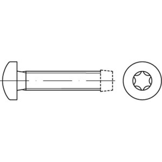 DIN 7500 Gewindef. Linsenschraube A2 C TX - M 2,5 x 10 TX 8