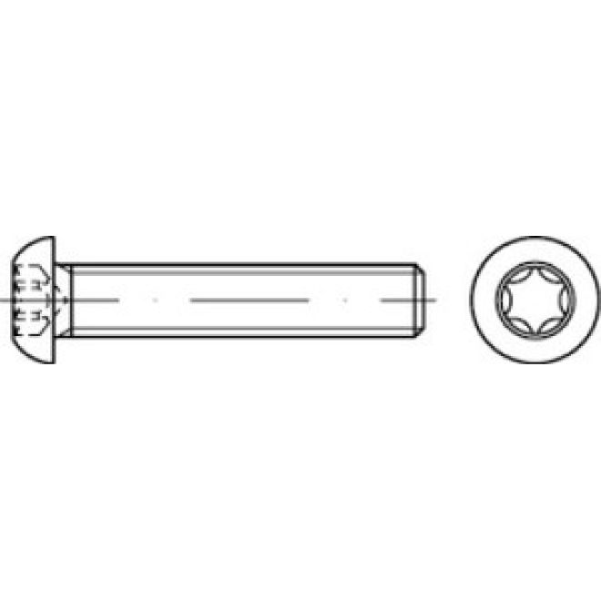 ISO 7380-1 Flachkopfschraube 8.8 verzinkt TX - M 10 x 30 TX 50