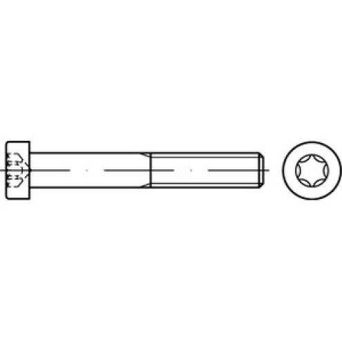 ISO 14580 Zylinderschraube 8.8 verzinkt TX