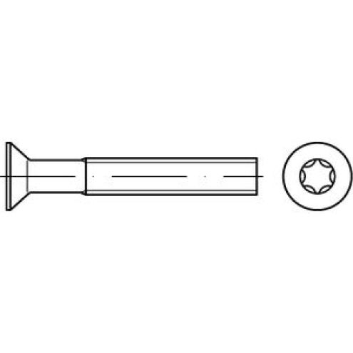 ISO 14581 Senkschraube 4.8 verzinkt TX