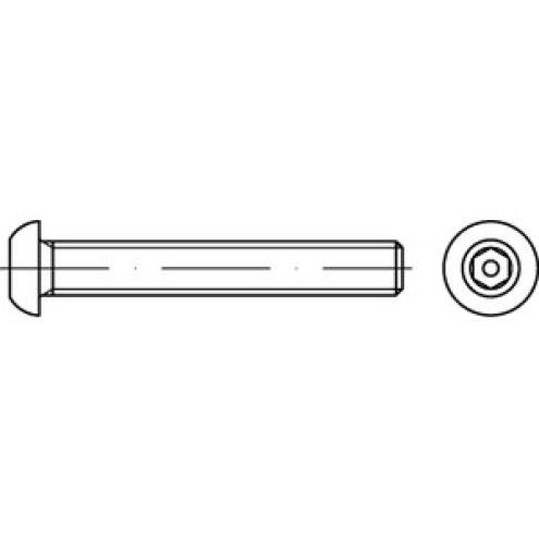 Sicherheitsschraube A2 Flachrundkopf PIN-I6kt