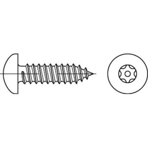 Sicherheitsschraube Linsenkopf A2 PIN-ISR
