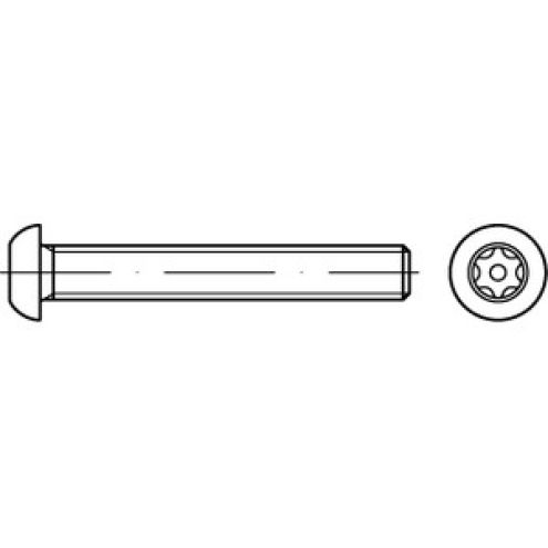 Sicherheitsschraube A2 Flachrundkopf PIN-ISR