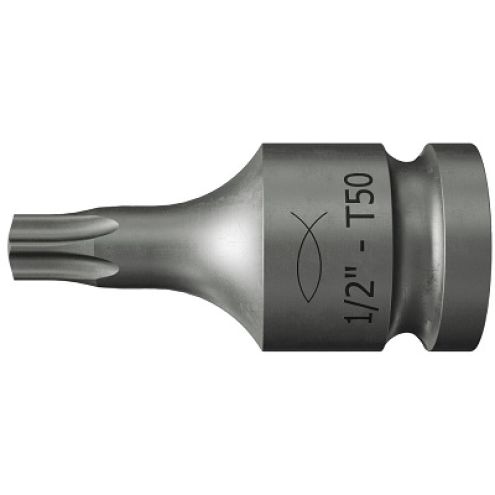 fischer Stecknuss mit Antrieb 1/2" und TX 50 Bit